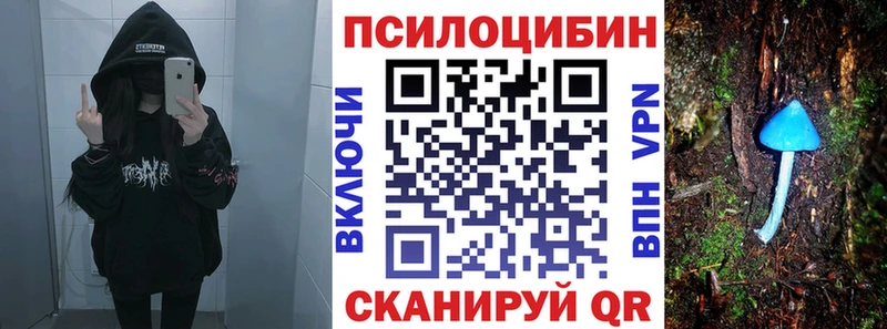 Купить  Сосновый Бор  Псилоцибиновые грибы Psilocybe 